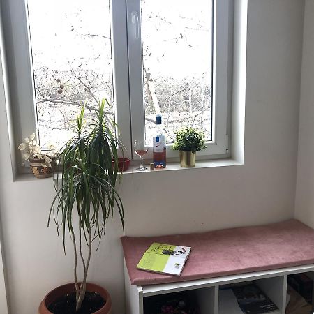 בלגרד Studio 50 With Terrace מראה חיצוני תמונה