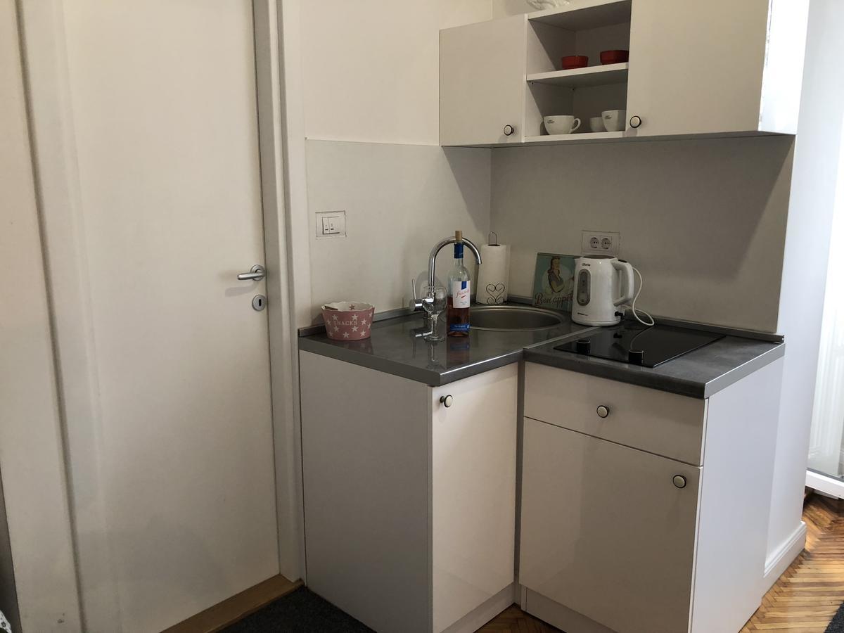בלגרד Studio 50 With Terrace מראה חיצוני תמונה