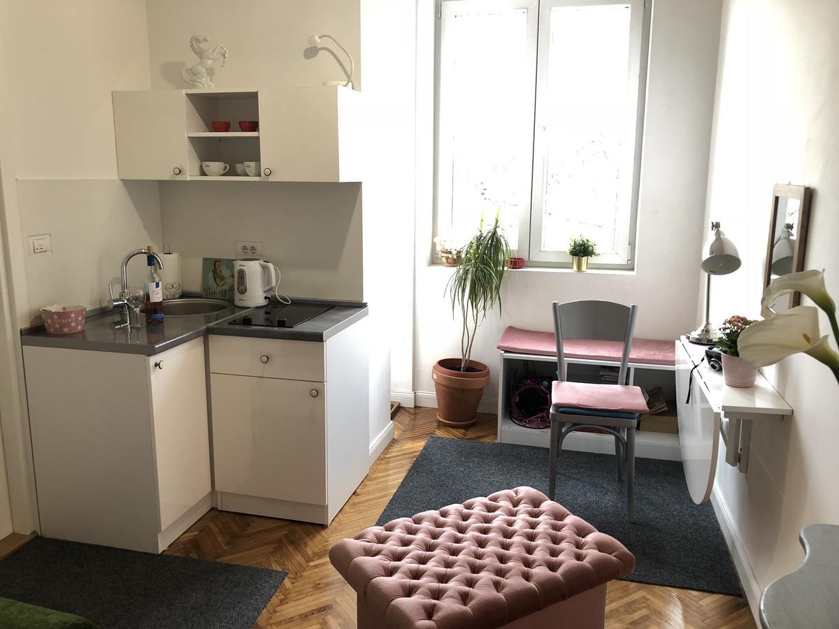 בלגרד Studio 50 With Terrace מראה חיצוני תמונה