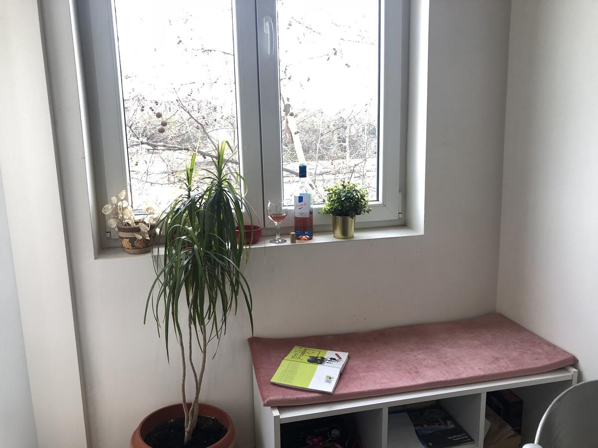 בלגרד Studio 50 With Terrace מראה חיצוני תמונה